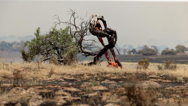 The fire burned across many hectares of land. Picture: Alison Wynd