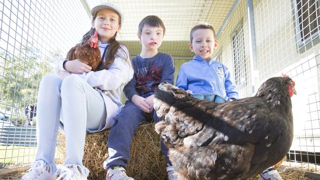 William Carey Christian School Students Learn About Paddock To Plate 