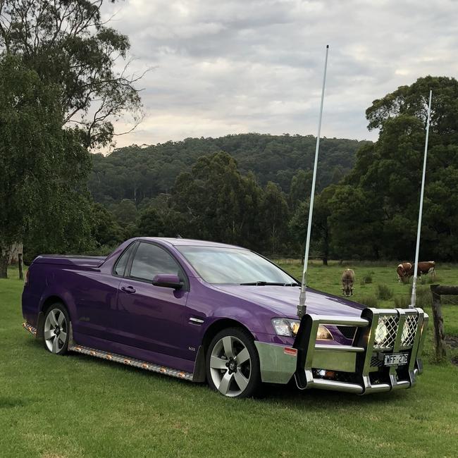 Linda Aurisch, of Chapple Vale, says her Holden VE SS ute 