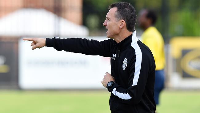 Moreland Zebras coach Fausto de Amicis. Picture: Josie Hayden