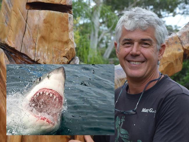 Shark attack teaches sculptor valuable art lesson