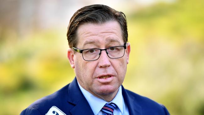 Former NSW Police Minister Troy Grant said he knows little of the matter but feels terribly for the dead pedestrian’s family. Picture: AAP/Joel Carrett