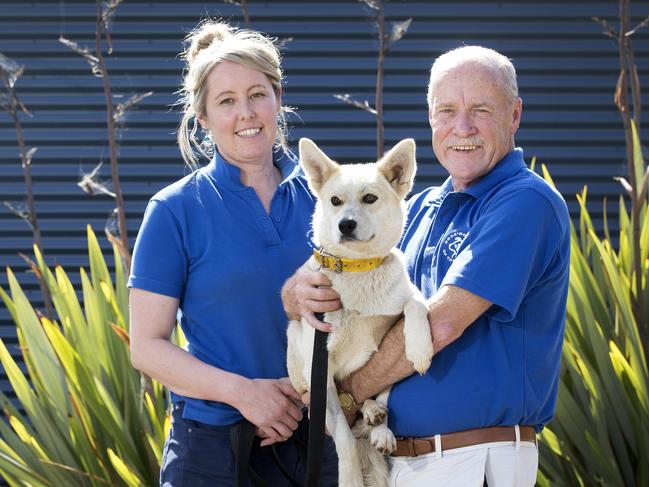 Dogs’ Homes of Tasmania CEO Michael Sertori, holding Kesha, with Launceston supervisor Abby Laskey. Picture: CHRIS KIDD