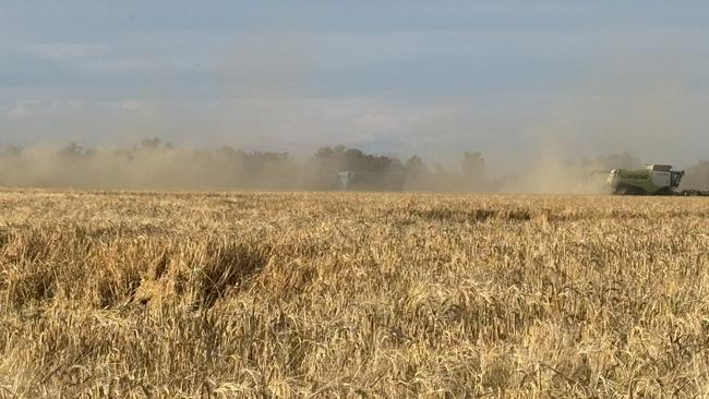 Farmers harvest some bumper crops at Moree in northern NSW. Picture: Supplied