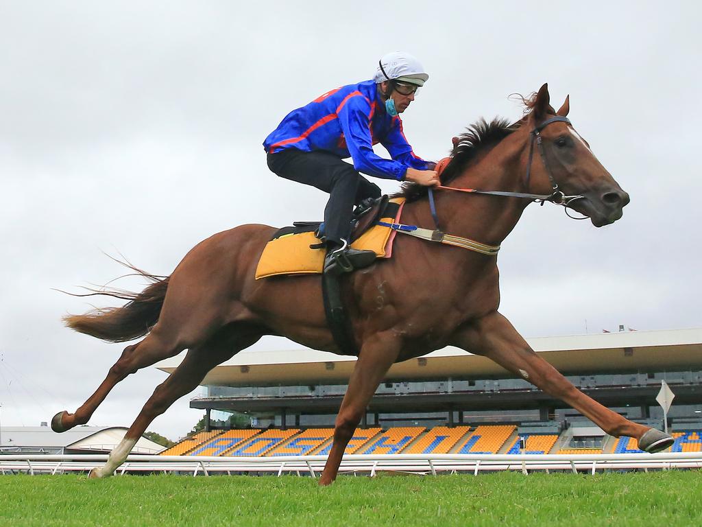 Rosehill Barrier Trials