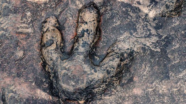 Western Yilgarn has more bauxite assets in WA’s Darling Range bauxite mineral field. Pic: Getty Images