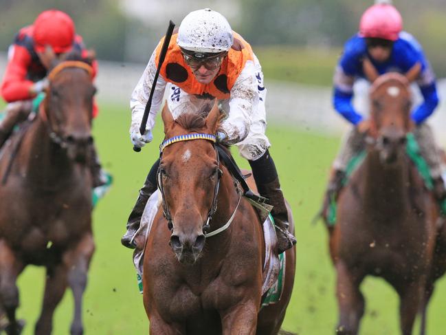 Samantha ridden by Corey Brown (orange) wins race 3 during Royal Randwick races in Sydney. Pic Jenny Evans