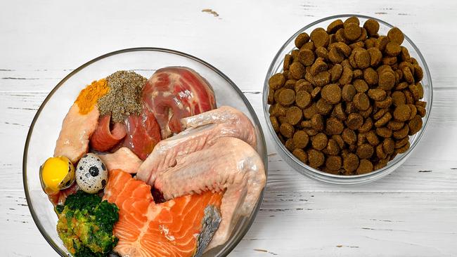 Incorporating meat and vegetables can boost your dog’s diet.