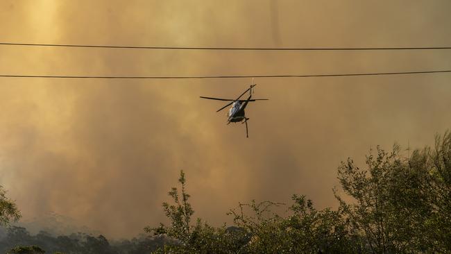 Australia’s devastating Black summer fires are predicted to become the new norm NewsWire / Jeremy Piper