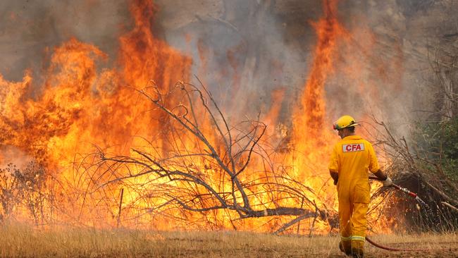 Beechworth bushfires. Black Saturday. Fire. Mudgegonga region. A CFA firefighter walks towards the roaring flames finding he has no water coming from the hose defending a property near the Pinnacles on Blacks Flat Road. Mudgegonga