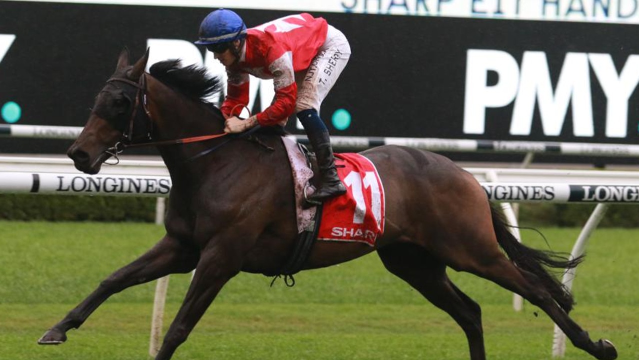 Icebath is ready to claim a well-deserved Group 1 win in Saturday's TAB Epsom Handicap at Randwick. Picture: Grant Guy