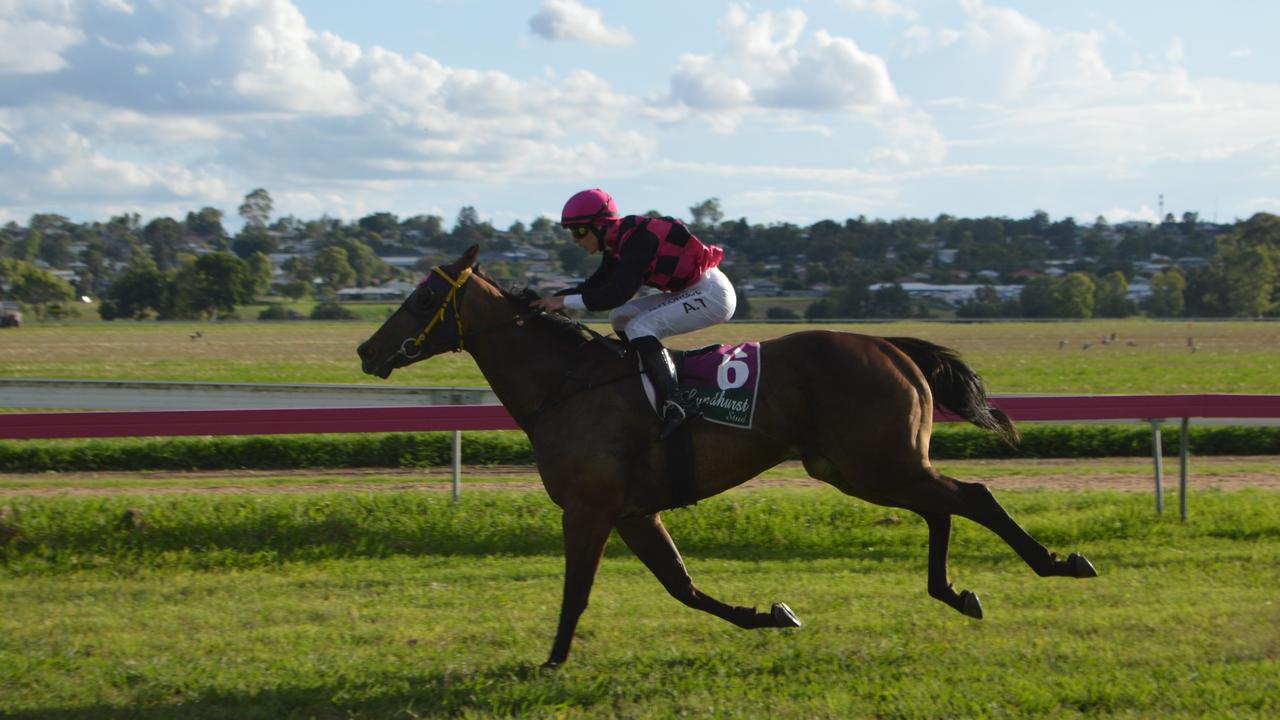 WINNER: Colpo Di Tamburo races through the finish line at the 2020 Warwick Boxing Day races.