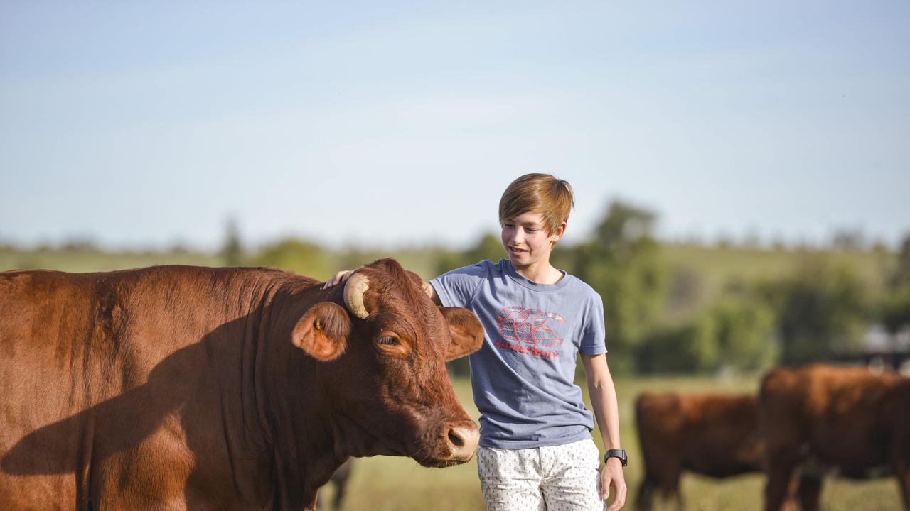 Harry practices his low-stress animal husbandry technique. Picture: Dannika Bonser