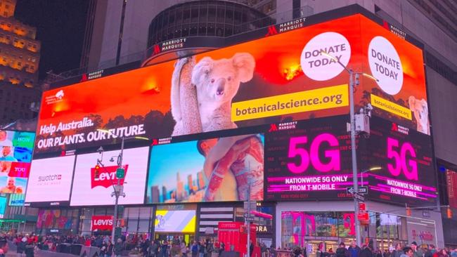 The Godzilla screen in Time Square also features an ad from Sydney-based charity Foundation and Friends of the Botanic Gardens