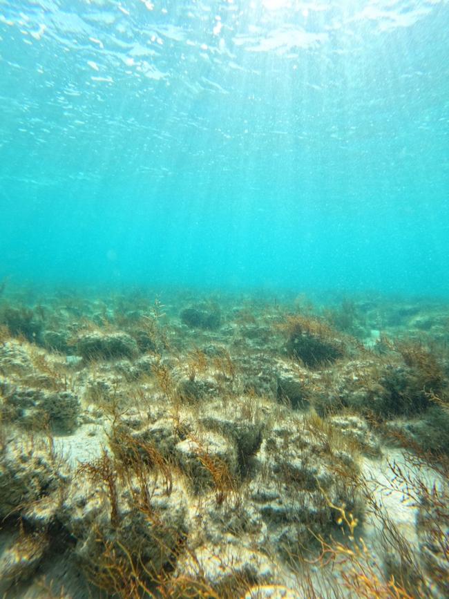 Light filters through water in the Hamelin Pool. Picture: Supplied