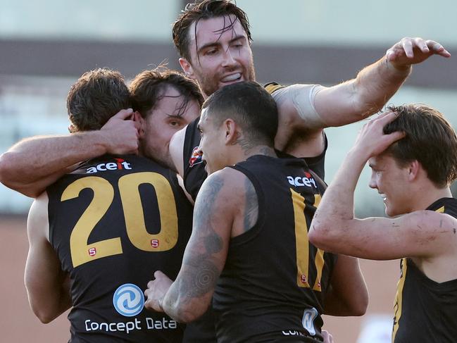 Tigers players celebrate a late goal during the Round 15 SANFL match between North Adelaide and Glenelg at Prospect Oval in Adelaide, Sunday, July 30, 2023. (SANFL Image/David Mariuz)