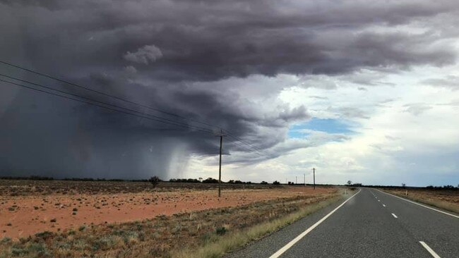 Many pockets of north-west NSW and Queensland will be on the hunt for stock after big falls in January and Feburary.