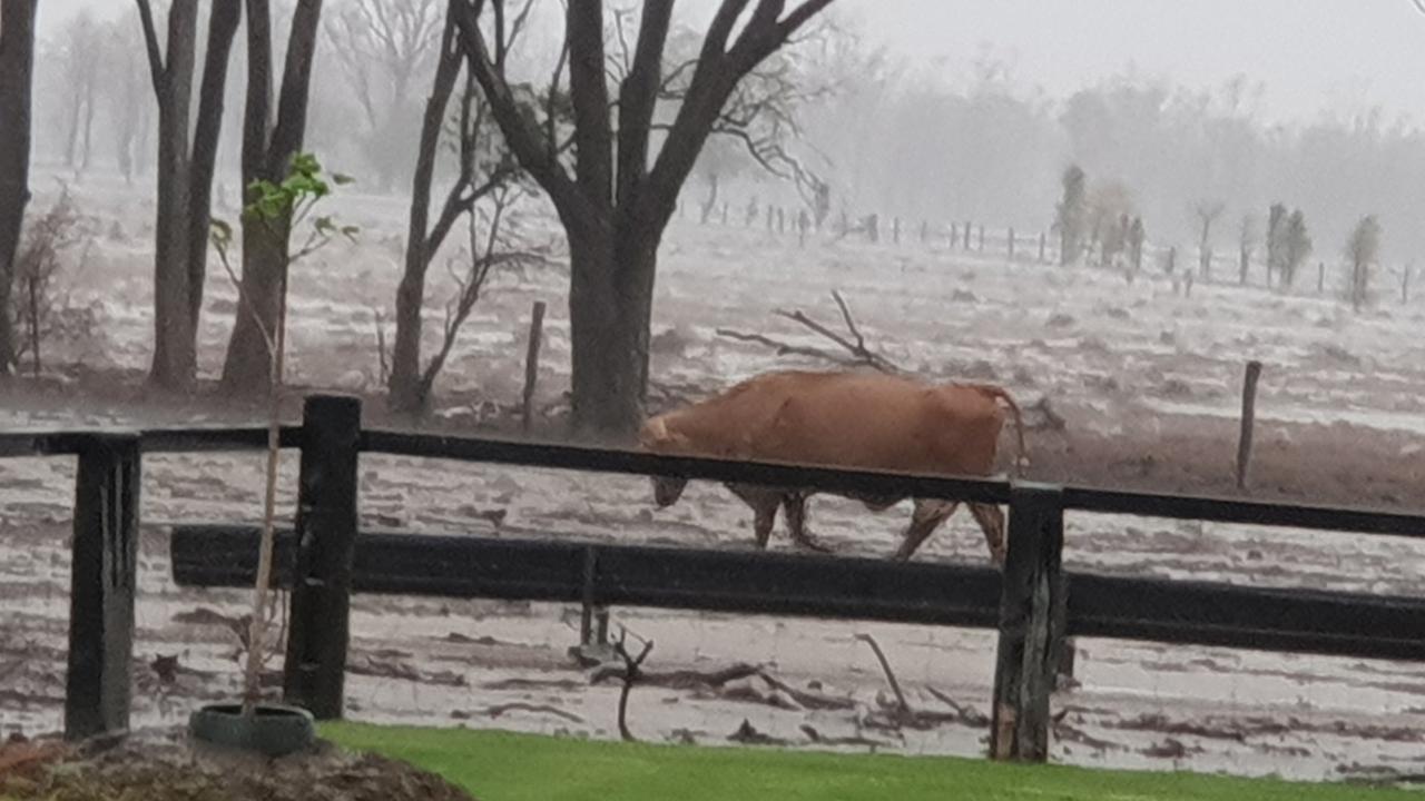 Rain in Roma QLD - Photo Facebook, Beverley Hornick‎ from Who Got The Rain?