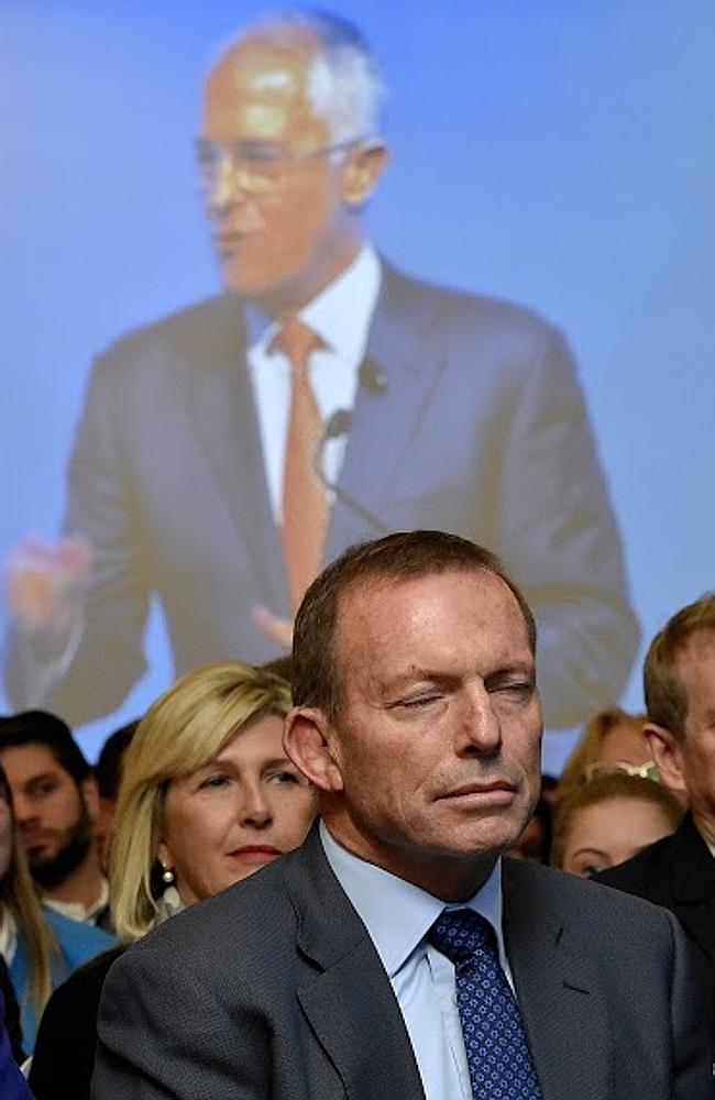 Poor old Tones can’t keep his eyes open during the launch of the Liberal’s Federal campaign. Picture: Jason Edwards