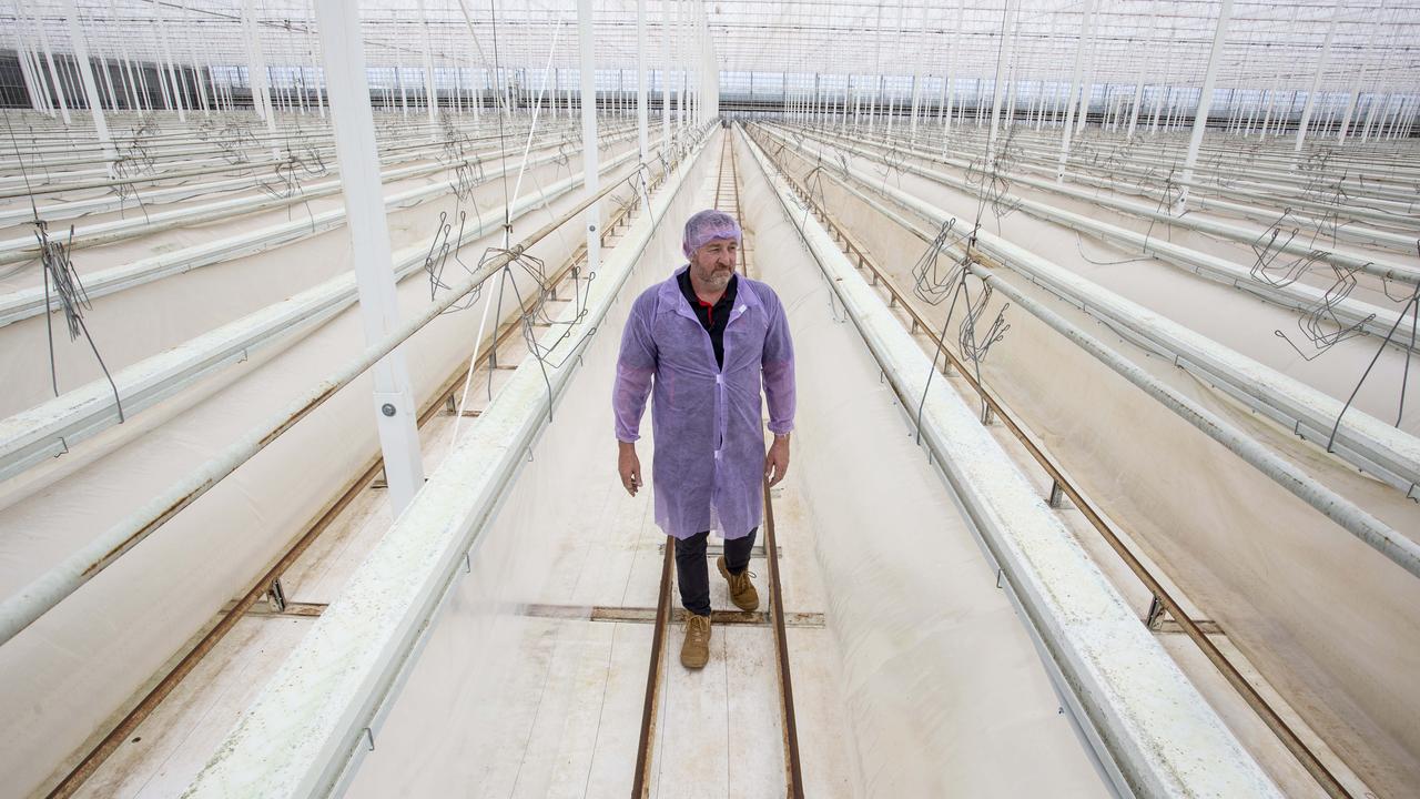 Mathew Fergusson inside a Glasshouse 13. Picture: Brett Hartwig