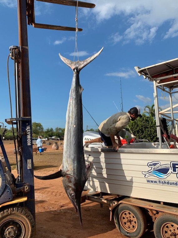 Vaughan Cullen and his mates caught this black marlin on Friday. Picture: Theodora Saroukos