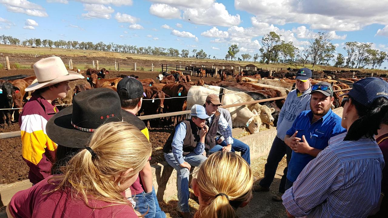 SIPP funding cut means Qld kids miss out on agricultural education ...