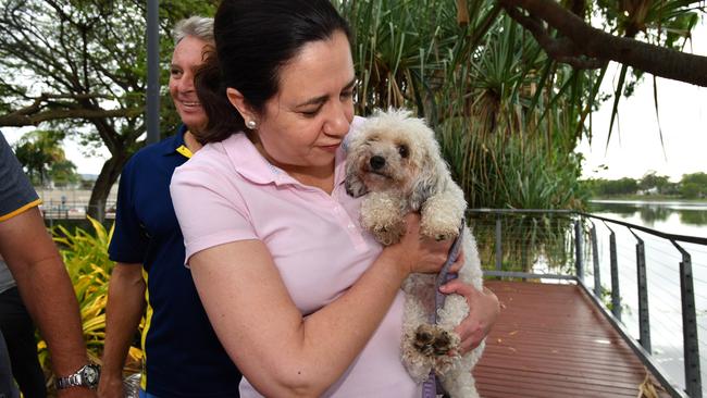 Queensland Premier Annastacia Palaszczuk is seen giving a dog a kiss while walking through Riverside Park in Townsville. (AAP Image/Darren England)