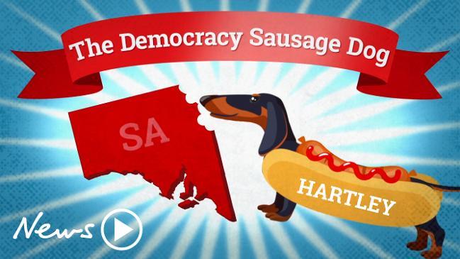 Democracy Sausage Dog: Hartley Election