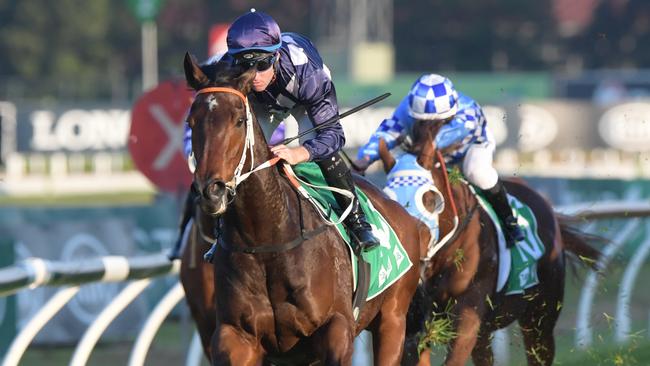 Desert Lord contests the Moonga Stakes. Pic: AAP