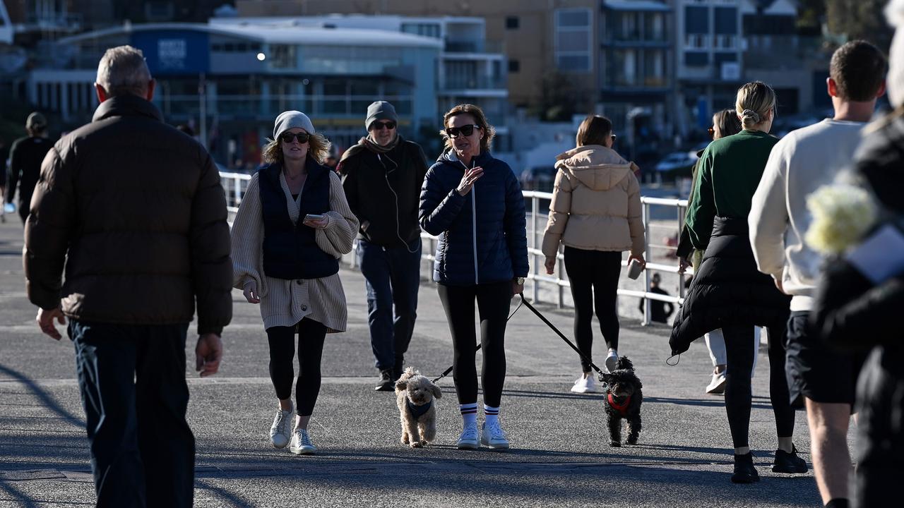 Pet owners have been urged to take added measures to ensure the safety of their dogs on walks and swims. Picture: NCA NewsWire/Bianca De Marchi