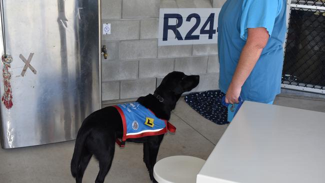 A prisoner trains her assistance dog to open the fridge door