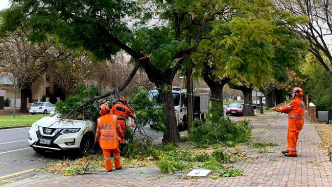 A tree brought down by high winds on Osmond Tce, in Adelaide's east, on Monday. Picture: Celeste Villani