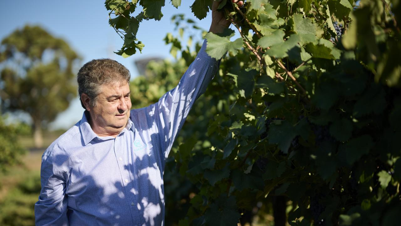 How Casella family turned Yellow Tail wine from experiment to worldwide ...