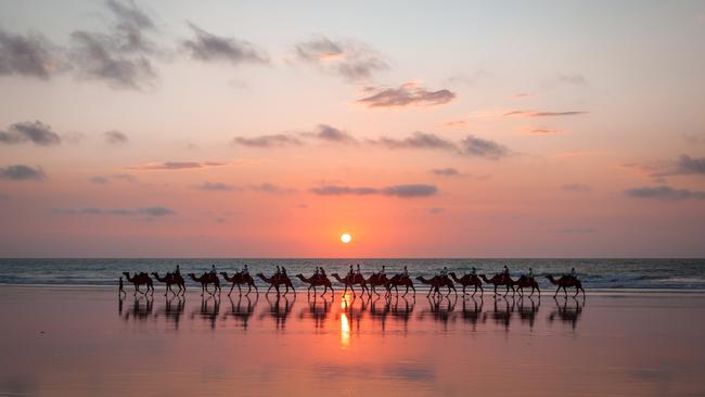 The famous sunset camel ride along Cable Beach in Broome, Western Australia.