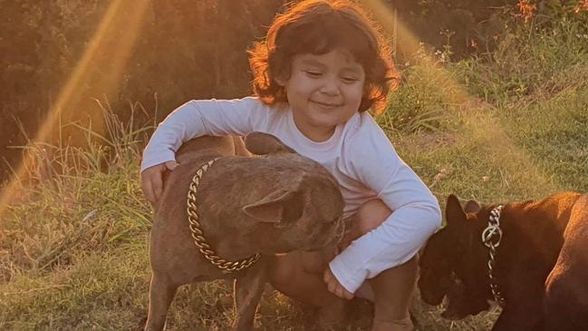 Little Addy settles into Qld life after Mexico mercy dash