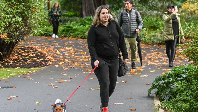 Million Paws Walk at Adelaide Botanic Gardens. Picture: Brenton Edwards
