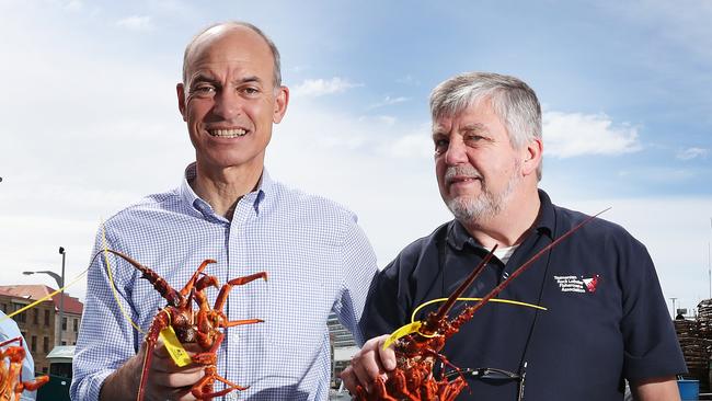 L-R Mark Nikolai Chief Executive Officer TARFish, Primary Industries Minister Guy Barnett, John Sansom Chief Executive Officer Tasmanian Rock Lobster Fishermen's Association Ltd with rock lobster on the Hobart waterfront.  Opening of recreation rock lobster season on the East Coast of Tasmania.  Picture: NIKKI DAVIS-JONES