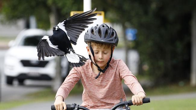 Kevin Barnes and his son Oliver (Ollie), 6. Picture: Tertius Pickard