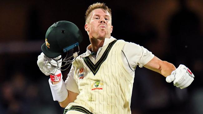 David Warner celebrates on his way to 335*.