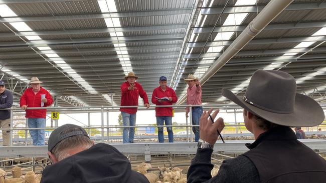 Selling action at the Corowa prime lamb sale where few pens made more than 600c/kg.