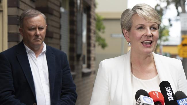 Anthony Albanese and Tanya Plibersek in Sydney last October. Picture: Monique Harmer