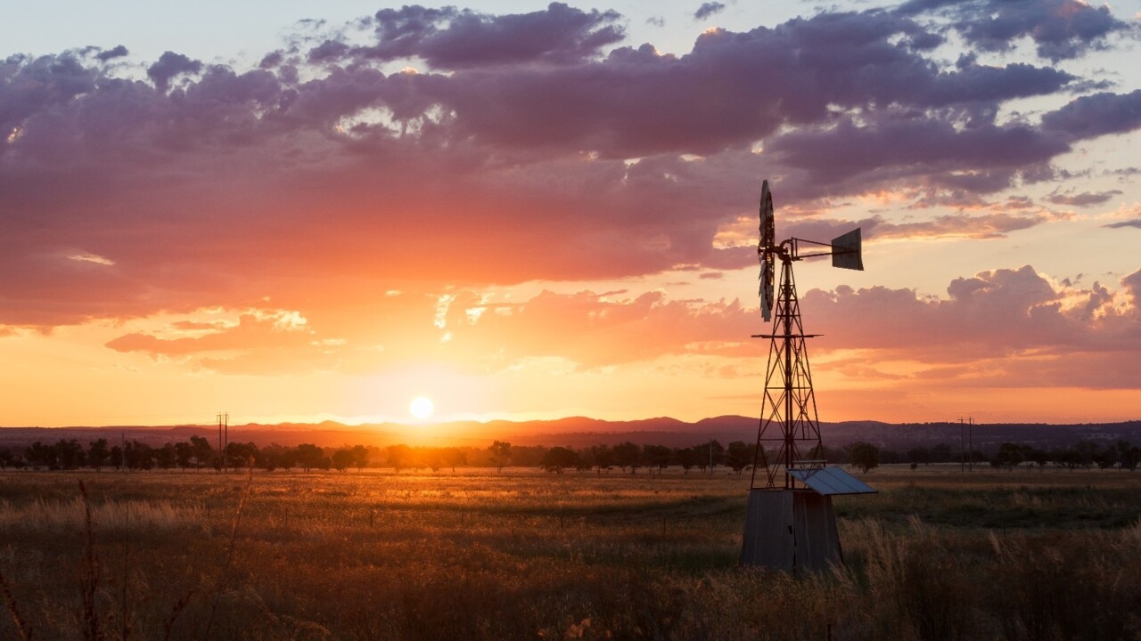 Proposal pushed for all Australians to work in a rural organisation during early adulthood