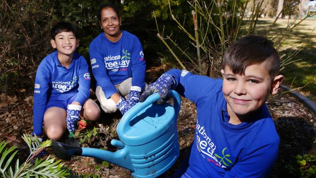 Tree Day plants the seed for a green future in Blacktown | Daily Telegraph