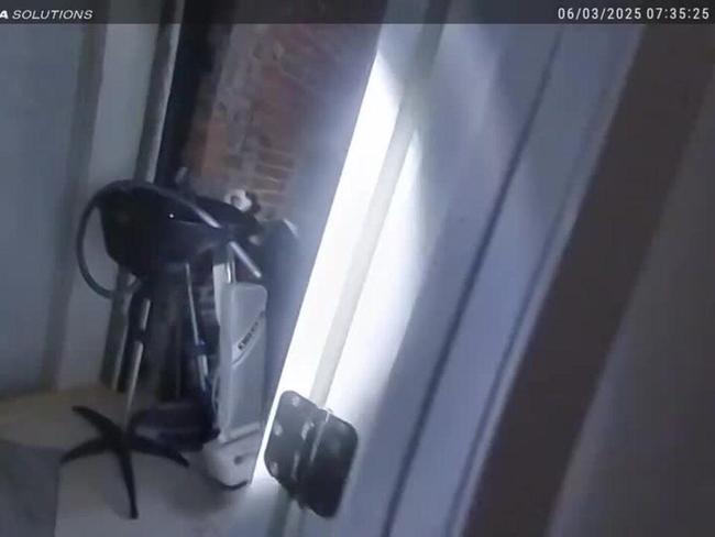 Deer Leaves Trail of Damage After Breaking Into Iowa Hair Salon