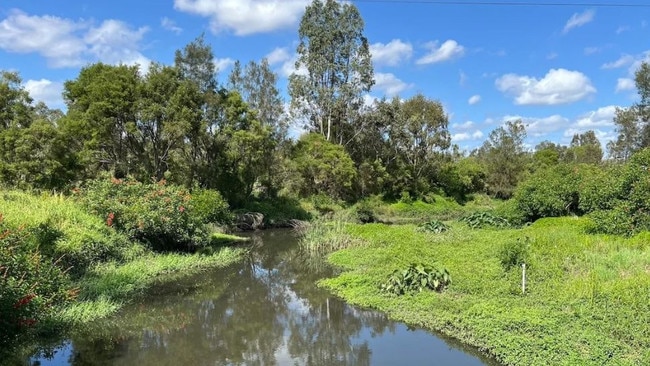 Almost 500 tonnes of silt, weeds and debris will be cleared from flood prone Stable Swamp Creek in Rocklea. Picture: Councillor Steve Griffiths