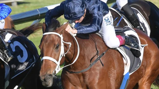 Eckstein will be having her final start in the Winter Challenge before heading to stud. Picture: AAP