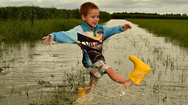 Sampson Coco plays in a cane field off Four Mile Road near Ingham which had 250mm of rain. Picture: Evan Morgan