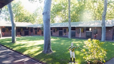 The famous Leilani Lodge stables at Randwick