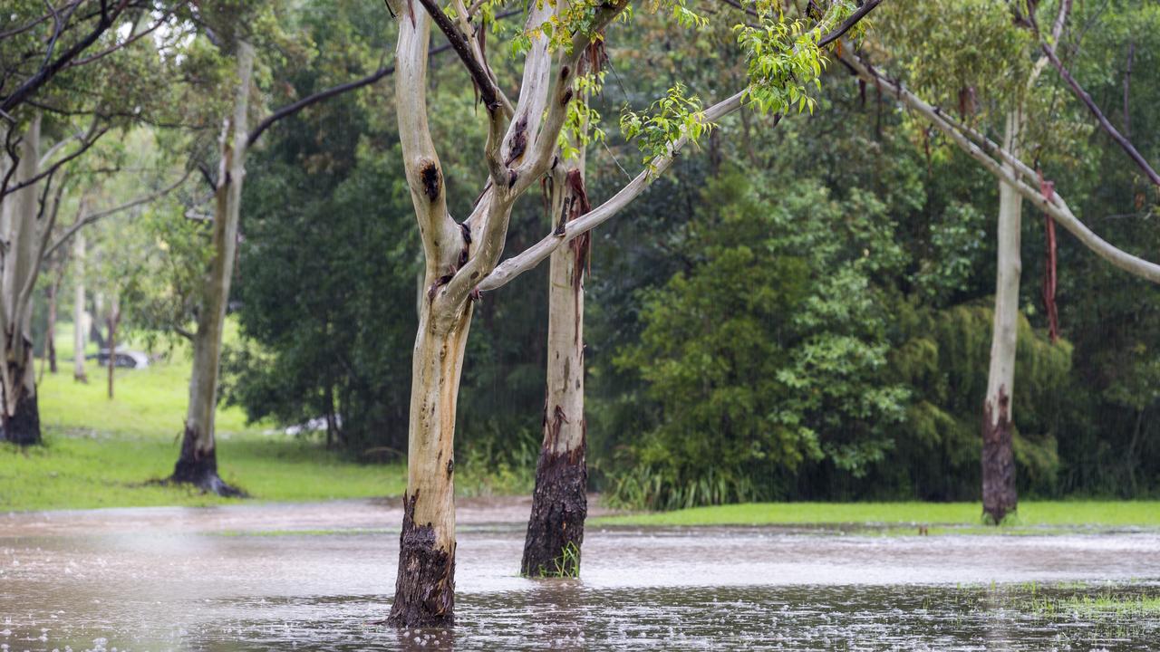 East Creek as seen from Mackenzie Street near the South Street intersection, Tuesday, March 23, 2021. Picture: Kevin Farmer