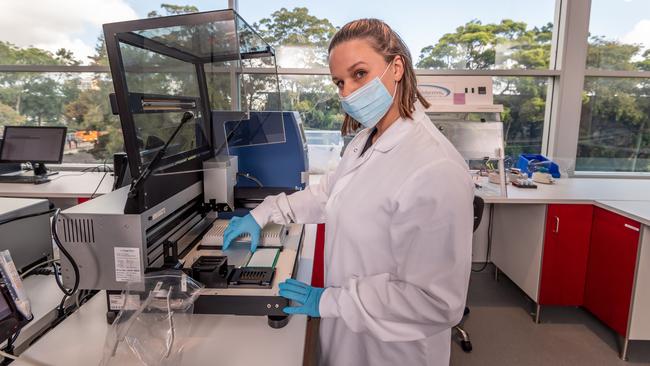 Lauren Gilbert working at the AusDiagnostics base in Mascot. Picture: Monique Harmer